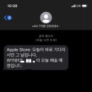 레드토마토