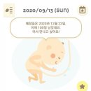 통묵은지 감자탕 이미지