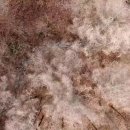 노한도 농장 이미지