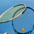 신트리공원 테니스장 이미지