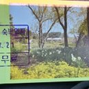 샤브마니아태안점 이미지