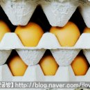 새말농장 이미지