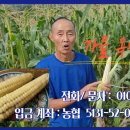 정영농장 이미지