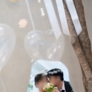 290 | w10. 290스냅 본식 후기