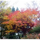 독립공원형무소역사관 이미지