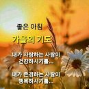 이따가다 이미지