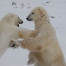 뿌리동물농장 이미지