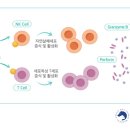 유선축산 이미지