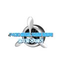 플래트 차량용 방향제 사용 후기(feat. 시크릿 포레스트)