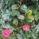 충남대학교 에너지과학기술대학원 | 선운 지구 어제 담양에 국어 훈련 선운 학원 원장의 후기