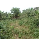 이충로100번길 이미지