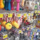 애견용품 할인매장 이미지