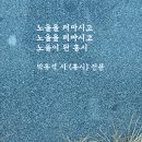 박유석「홍시」 이미지