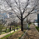 영천동-3 | 동탄 등갈비 맛집 추천 다 구워져서 나오는 영천동 오른쪽갈비 후기