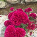 서강해수탕 이미지