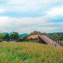 순천만 습지 이미지