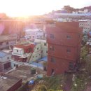 정이농장 이미지