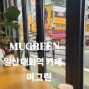 머그린