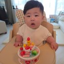 꼬꼬맘 | 블루래빗 아이큐베이비 세트 생일축하 장난감 꼬꼬맘생일케이크 후기