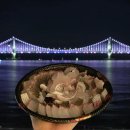 대선상회 | 광안리 민락회타운 여수상회 참돔유비끼 회포장 후기