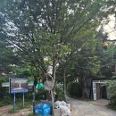 서울홍연초등학교 | 3. 서대문가좌테니스장 야외코트 후기