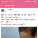 노아스아크미술학원
