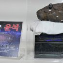 화진포 생태박물관 이미지