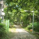 새미르어린이집 이미지