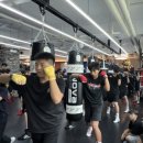 동백복싱클럽 이미지