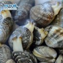 바다림 이미지