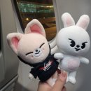 버지오스 | 스트레이키즈 매니악 인 싱가포르 해투 후기...근데 이제 여행을 곁들인