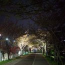 낙동칼국수 이미지