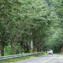 배내골사과정보화마을 | [경상남도 양산시] 배내골 - 전 견종 가능 · 맹견 입마개 · 목줄 착용 · 배변봉투 지참