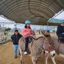 LH행복꿈터춘천YMCA만천지역아동센터 이미지