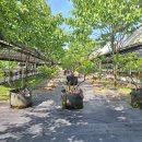 산외농장 이미지