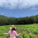 정원갤러리 네이버블로그