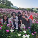 청풍하트레이크 이미지