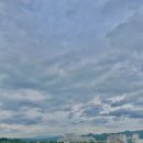 하늘가축병원 이미지