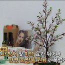 미선화장품