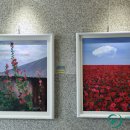 어린화가 미술교실 이미지