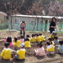 차오름어린이집 이미지