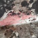 드루와농장 이미지