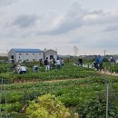 길용 농장 이미지