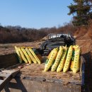 총각농장 이미지