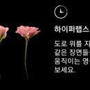 모랩스