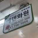 웨딩촬영 부케 남대문시장 에덴화원에서 4만원에 저렴하게 만들기 | 가격, 예약, 주차, 꿀팁