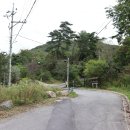 거북 경로당 Daum카페