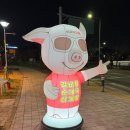 허경호 오돌