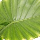 한다사중학교 기숙사 이미지