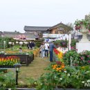 야간)꽃과 원예 이미지